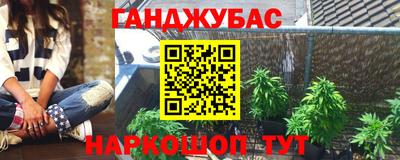 прущие грибы Владикавказ
