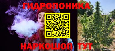 прущие грибы Владикавказ